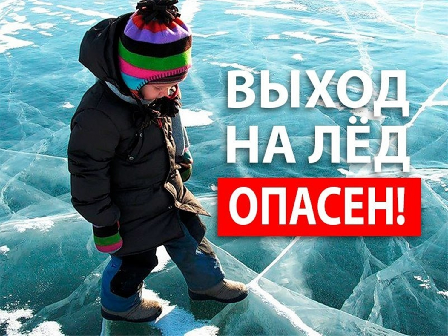 08f414c96b58a4558af14266935a9230.jpg